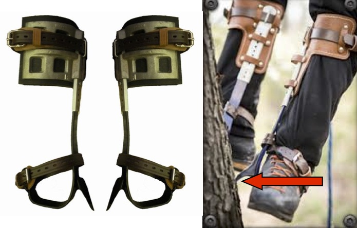 Why Tree Climbing Spurs Should Be Avoided With Routine Tree, 42% OFF